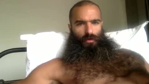 woof_wolf37 online show from 05-10-26, 03:06