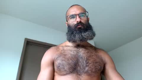 woof_wolf37 online show from 06-23-26, 04:27