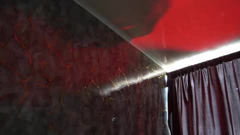 Woondeer online show from 02-02-26, 06:06