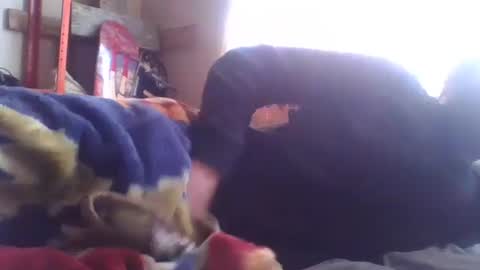 wormaho84 online show from 01-07-25, 02:41