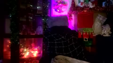 SCOOTER online show from 11-23-25, 06:19