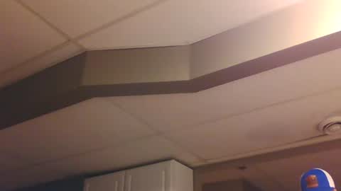 BONER DONOR online show from 01-07-25, 06:14