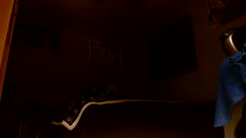 Snapshot of wvuguy1986 chatting on 03-08-26, 05:22 wvuguy1986 online show from 03-08-26, 05:22