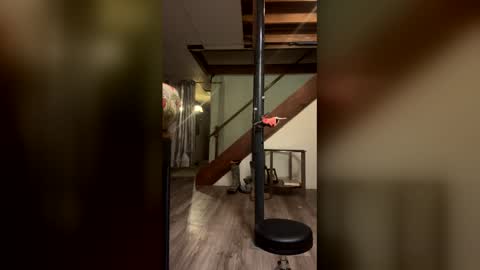 Snapshot of wyattmcc32288 chatting on 03-02-26, 08:10 wyattmcc32288 online show from 03-02-26, 08:10