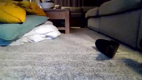 wyndir online show from 11-15-25, 07:32