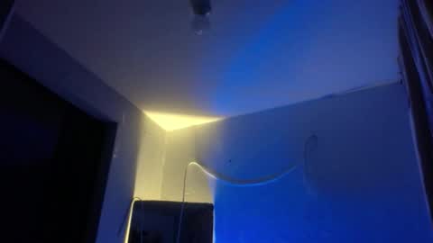 Snapshot of xalejo_max chatting on 11-12-25, 12:11 xalejo_max online show from 11-12-25, 12:11