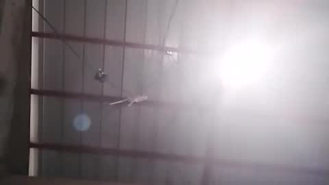 Snapshot of xasianbrowncockx chatting on 02-24-26, 07:17 Bella Amor online show from 02-24-26, 07:17