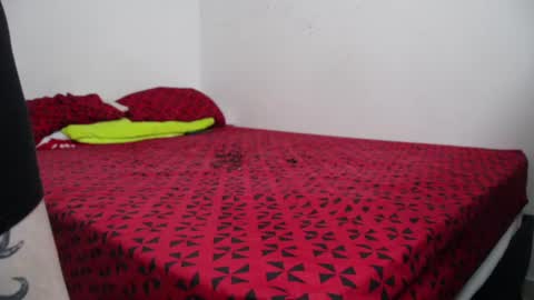 xcamtentationx online show from 12-08-24, 02:49