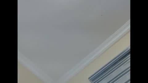 Snapshot of xcreamypussy chatting on 01-18-25, 10:17 xcreamypussy online show from 01-18-25, 10:17