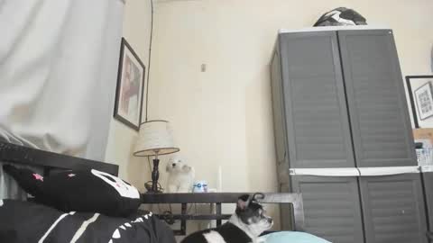 xdreamangel online show from 01-03-25, 07:16