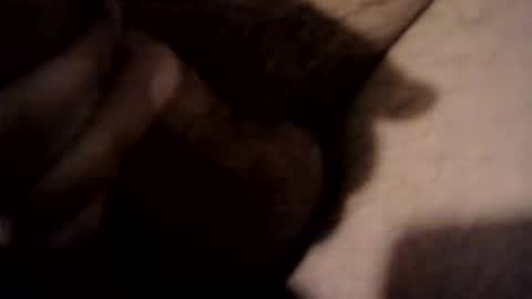 Snapshot of xdreamer chatting on 03-17-26, 10:24 xdreamer online show from 03-17-26, 10:24