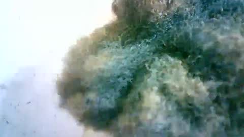 xenna610827 online show from 02-20-25, 06:50