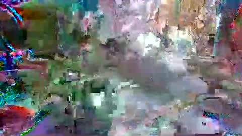 Snapshot of xixo6969 chatting on 04-12-26, 10:37 xixo6969 online show from 04-12-26, 10:37