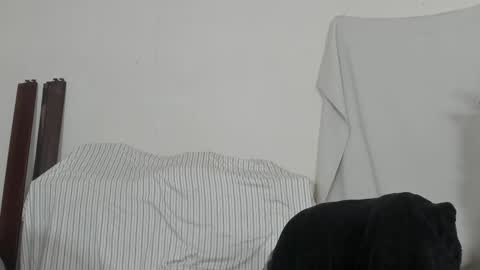 Snapshot of xmetalstudx chatting on 02-09-26, 08:13 MetalstudMaster online show from 02-09-26, 08:13