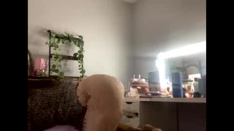 dani3 online show from 11-29-25, 12:08