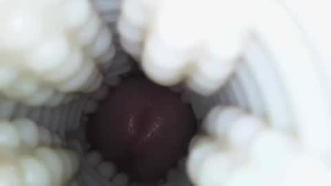 xoxowtf online show from 01-09-26, 04:26