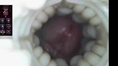 xoxowtf online show from 02-09-26, 11:20