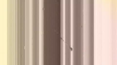 Pierce Innocent online show from 06-22-26, 09:39