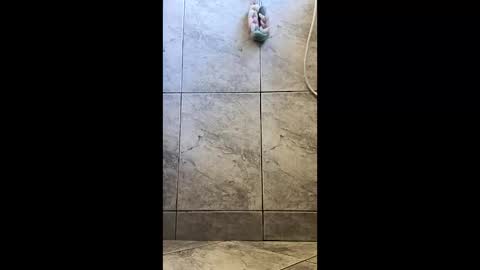 xviktorbr online show from 03-26-26, 04:56