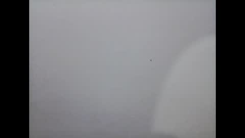 Mariel online show from 12-02-24, 12:07