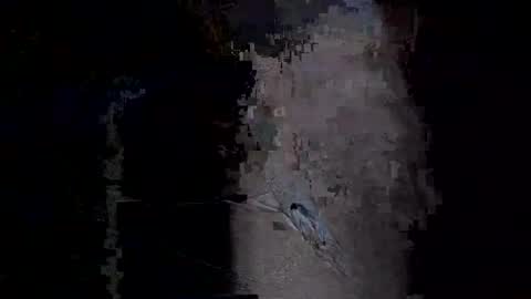 Snapshot of xxverabbyxx chatting on 01-14-26, 11:53 Vera online show from 01-14-26, 11:53