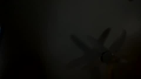 x online show from 02-15-25, 02:55
