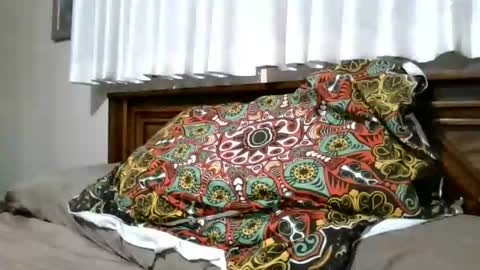 xxxloverloganxxx online show from 02-05-26, 12:32