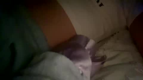 Snapshot of xxxsophiaday chatting on 10-04-25, 08:56 xxxsophiaday online show from 10-04-25, 08:56