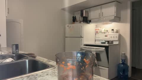 Snapshot of xyleialuv chatting on 02-22-25, 04:29 Xylea Luv online show from 02-22-25, 04:29