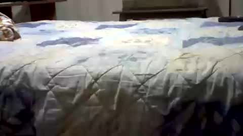 Yankee online show from 07-26-26, 05:37