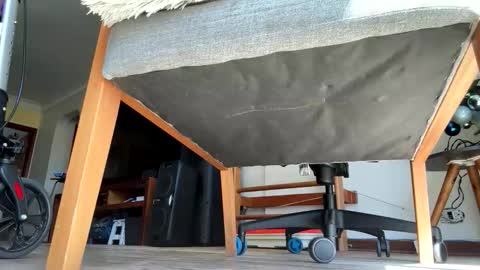 yannisv online show from 01-10-26, 12:51