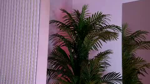 Yasmina  online show from 06-15-26, 03:20