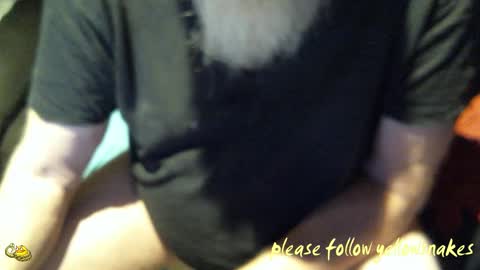 .     y e l l o w s n a k e s       . online show from 10-20-25, 03:51