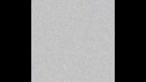 .     y e l l o w s n a k e s       . online show from 11-24-25, 10:26