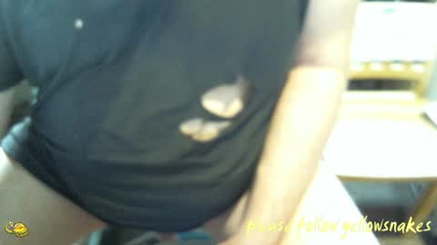 .     y e l l o w s n a k e s       . online show from 02-08-26, 09:40