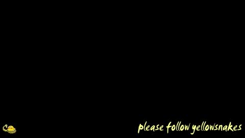 .     y e l l o w s n a k e s       . online show from 03-26-26, 09:20