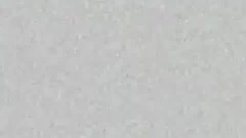 Snapshot of yellowsnakes chatting on 04-16-26, 01:56 . y e l l o w s n a k e s . online show from 04-16-26, 01:56