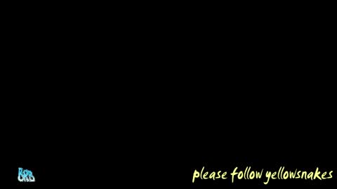 Snapshot of yellowsnakes chatting on 05-12-26, 05:10 . y e l l o w s n a k e s . online show from 05-12-26, 05:10