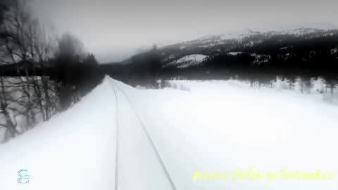 Snapshot of yellowsnakes chatting on 05-15-26, 06:48 . y e l l o w s n a k e s . online show from 05-15-26, 06:48