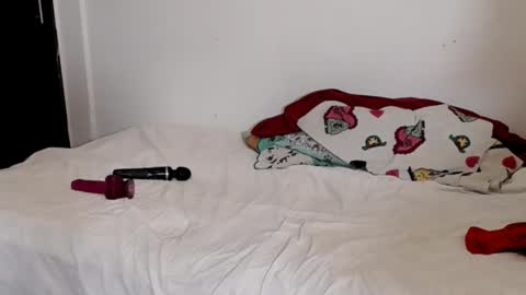 tulipan online show from 02-02-25, 09:45