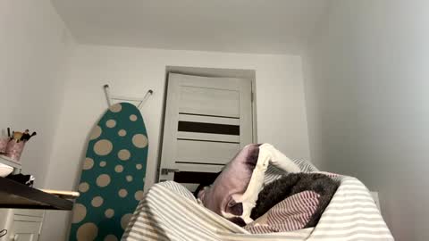 private on 18 per minute start private 500 tokensOnlyfans  online show from 01-09-25, 08:44