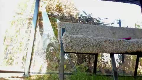 private on 18 per minute start private 500 tokensOnlyfans  online show from 11-02-25, 11:56