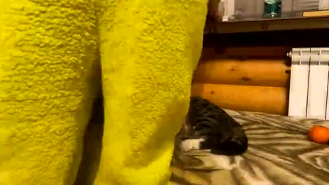 Fansly  online show from 12-31-24, 09:50