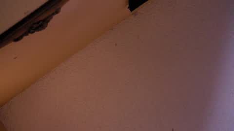 Sophiestar online show from 10-18-25, 02:58