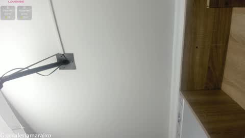 SASKYA VALERIA online show from 12-28-24, 11:59