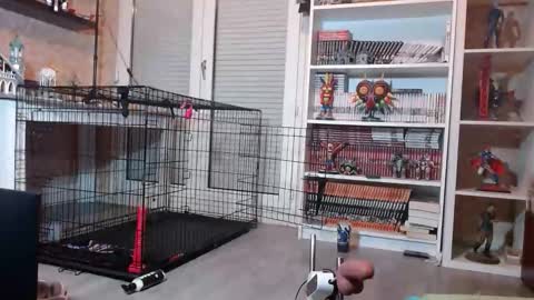 Owned by Hell On Heels online show from 02-19-26, 07:10