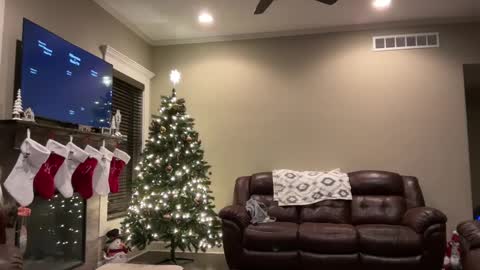 yourstrulylivy online show from 12-11-24, 01:26