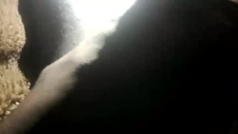 Snapshot of yung_boy42 chatting on 11-16-25, 02:17 yung_boy42 online show from 11-16-25, 02:17