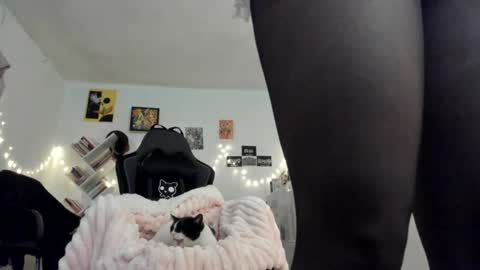 Snapshot of yury_sun chatting on 01-18-25, 09:45 paola online show from 01-18-25, 09:45