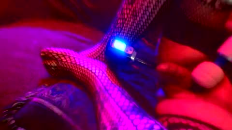 Z0RL0C online show from 10-04-25, 05:38